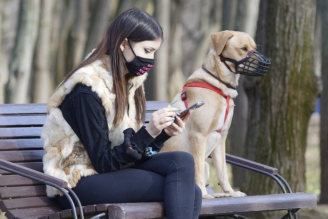 Koronawirus Zabrze. Sytuacja epidemiczna [22.03.2021]