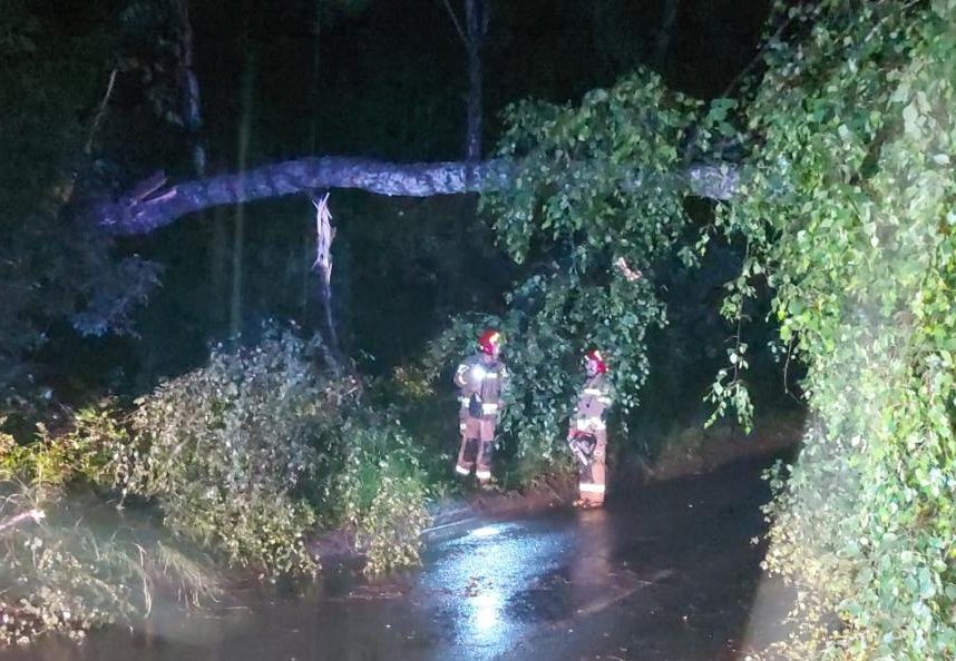 Mocno wiało. Strażacy interweniowali kilkukrotnie