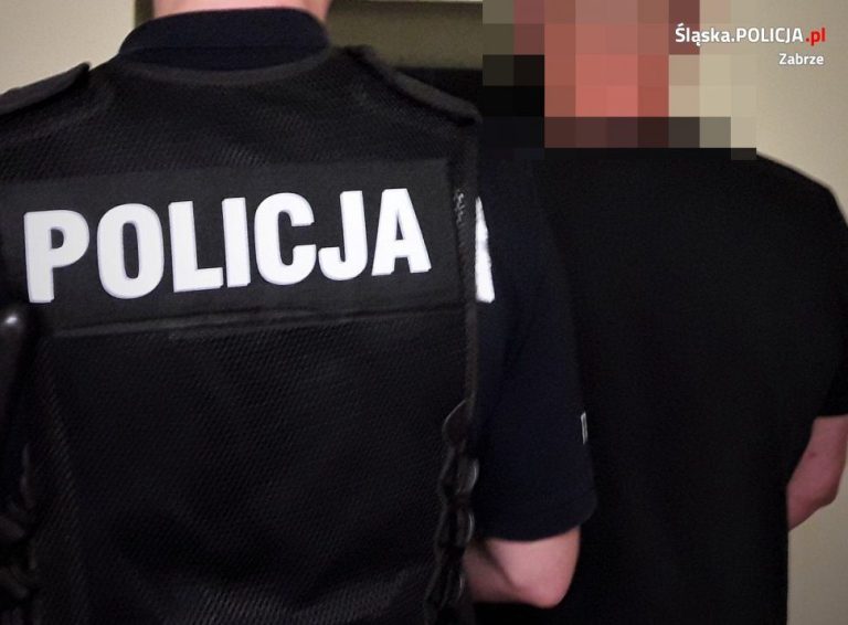 Policjant Zobaczył Poszukiwanego Złodzieja Z Odległości 200m I Zaczął Policjant po służbie prowadził akcję zatrzymania poszukiwanego