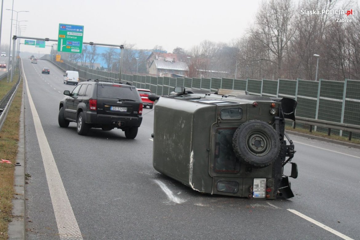 „Pies wbiegł na jezdnię”. Policja poszukuje świadków