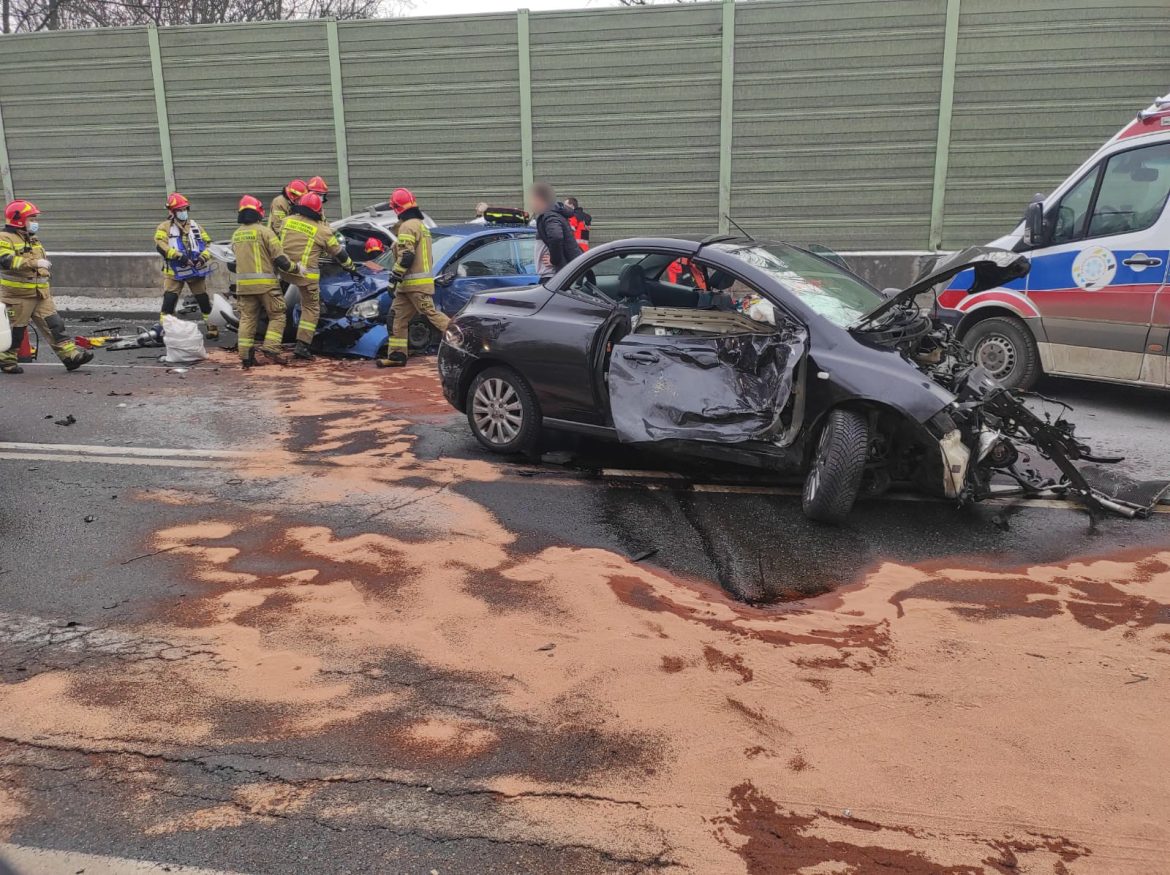 Wypadek na DK88. Strażacy wyciągali poszkodowanego z zakleszczonego auta