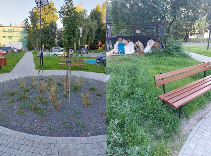 Miał być park rekreacyjno-edukacyjny. Jest skwer zarastający chwastami w sąsiedztwie śmietnika