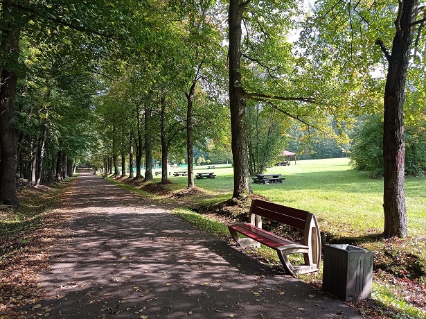 200 tysięcy zł dla Zabrza na działania antysmogowe