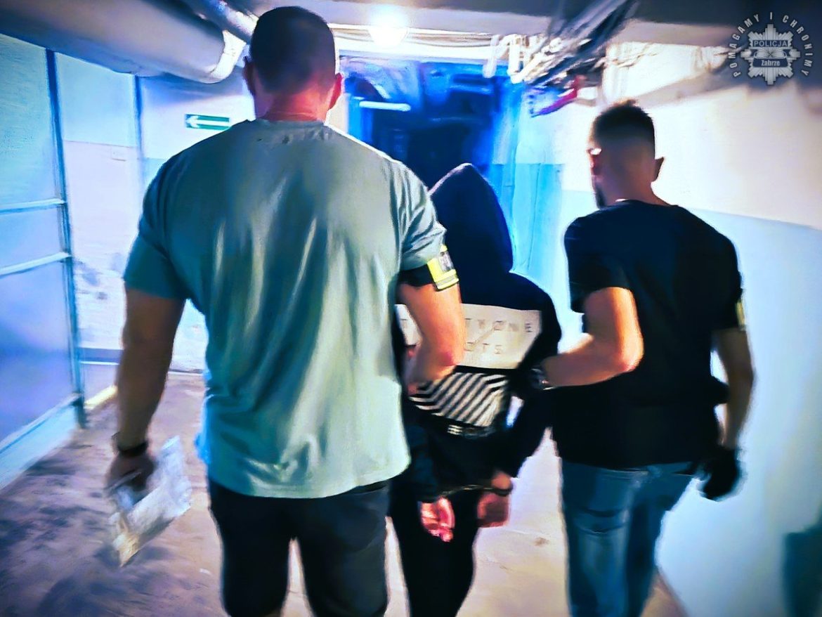 36-latka podejrzana o znęcanie się nad partnerem i dziećmi