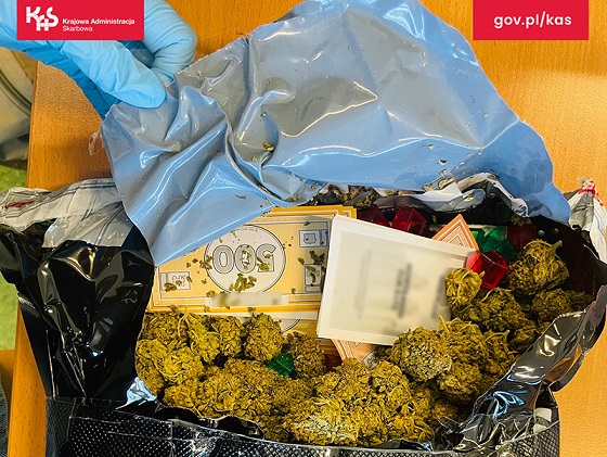 Pies udaremnił przemyt marihuany ukrytej w grze planszowej