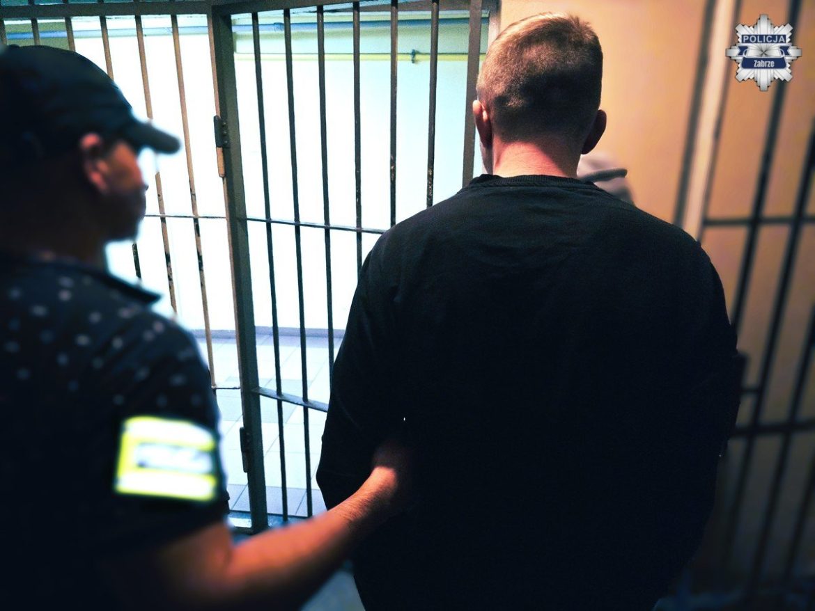 39-latek aresztowany za rozbój na kobiecie w parku