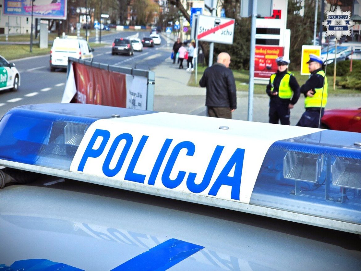 Policjanci kontrolowali pieszych. Posypały się mandaty