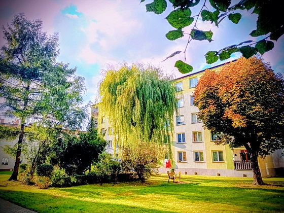 „Zielone Zabrze”. Ruszyła XXX edycja konkursu