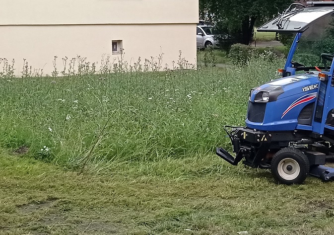 Wysoka trawa przy ulicach Zabrza. Magistrat wskazuje powody opóźnień